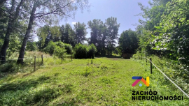 Działka otoczona lasem w Barcikowicach Małych na sprzedaż